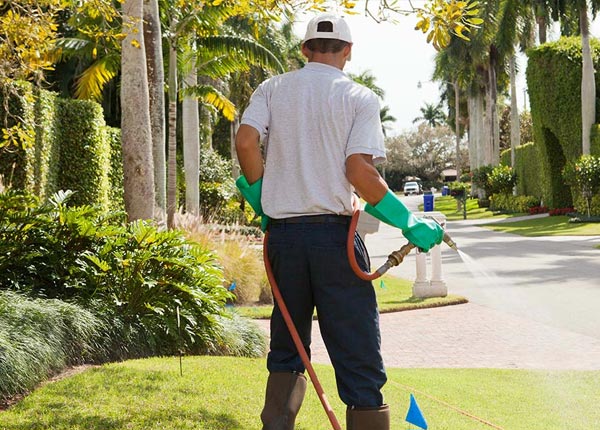 About Pomfret CT Pest Control Pros